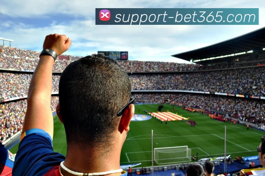 bet365平台生态图